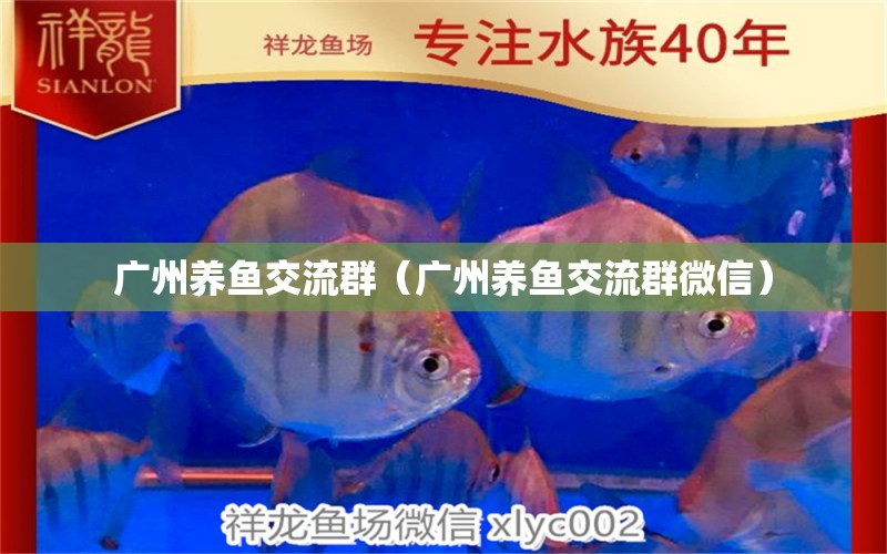 廣州養(yǎng)魚交流群（廣州養(yǎng)魚交流群微信） 廣州水族批發(fā)市場(chǎng)