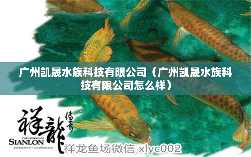 廣州凱晟水族科技有限公司（廣州凱晟水族科技有限公司怎么樣） 全國(guó)水族館企業(yè)名錄