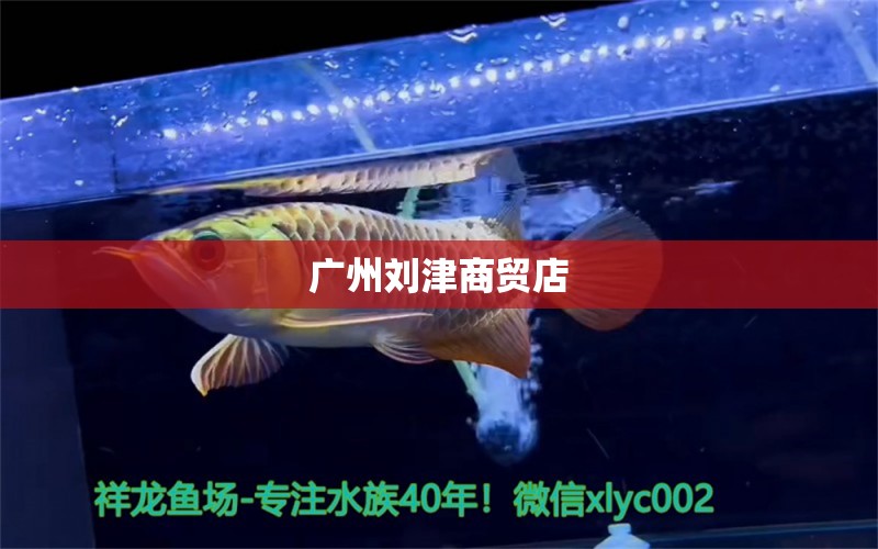 廣州劉津商貿店 全國水族館企業(yè)名錄