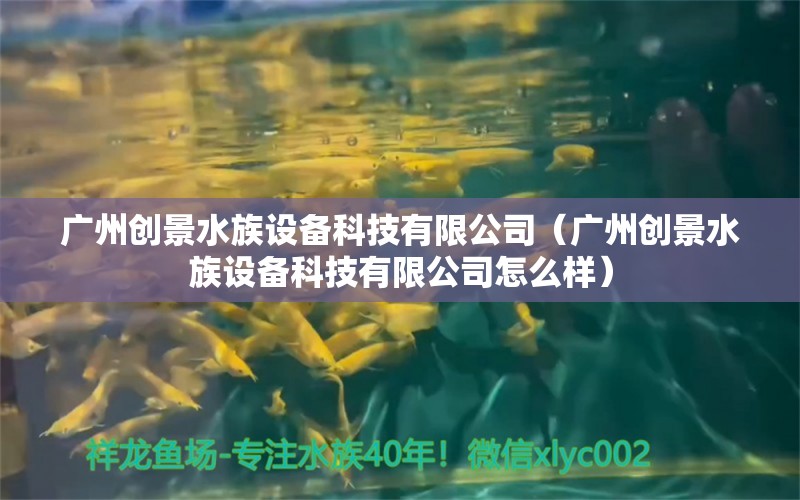 廣州創(chuàng)景水族設備科技有限公司（廣州創(chuàng)景水族設備科技有限公司怎么樣）