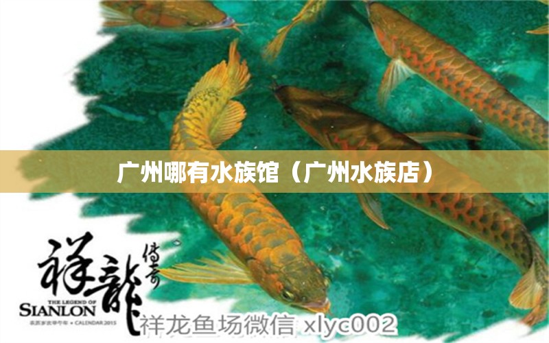 廣州哪有水族館（廣州水族店）