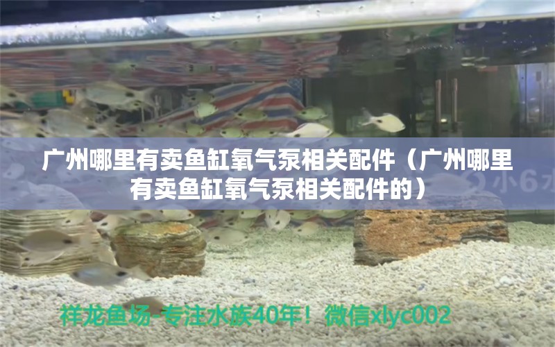 廣州哪里有賣魚缸氧氣泵相關配件（廣州哪里有賣魚缸氧氣泵相關配件的）