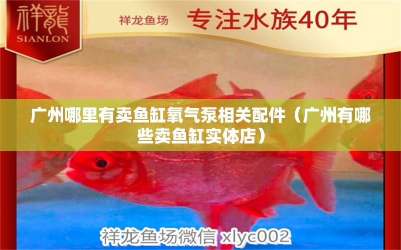 廣州哪里有賣魚缸氧氣泵相關(guān)配件（廣州有哪些賣魚缸實(shí)體店） 觀賞魚批發(fā)