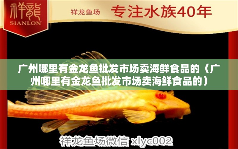 廣州哪里有金龍魚批發(fā)市場(chǎng)賣海鮮食品的（廣州哪里有金龍魚批發(fā)市場(chǎng)賣海鮮食品的） 龍魚批發(fā)