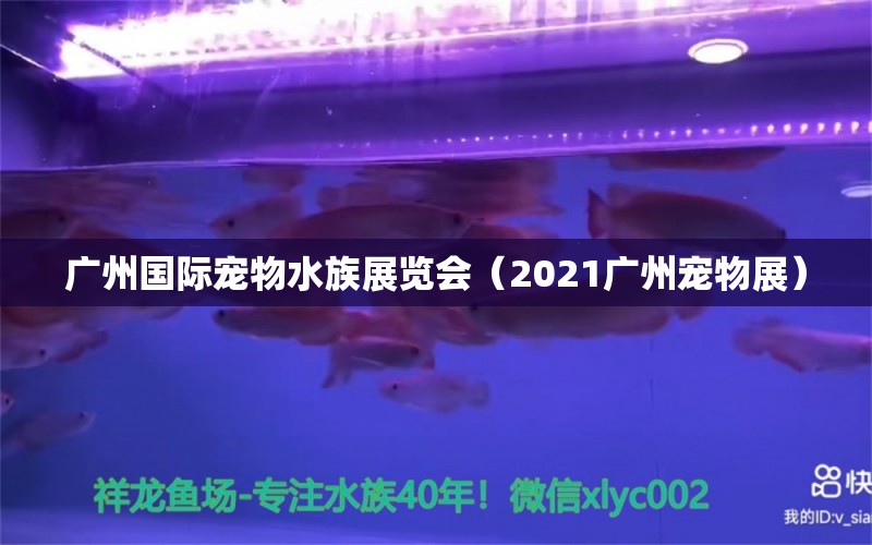 廣州國際寵物水族展覽會（2021廣州寵物展）