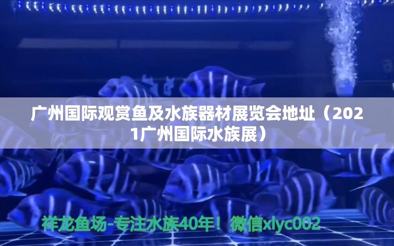 廣州國(guó)際觀賞魚(yú)及水族器材展覽會(huì)地址（2021廣州國(guó)際水族展）