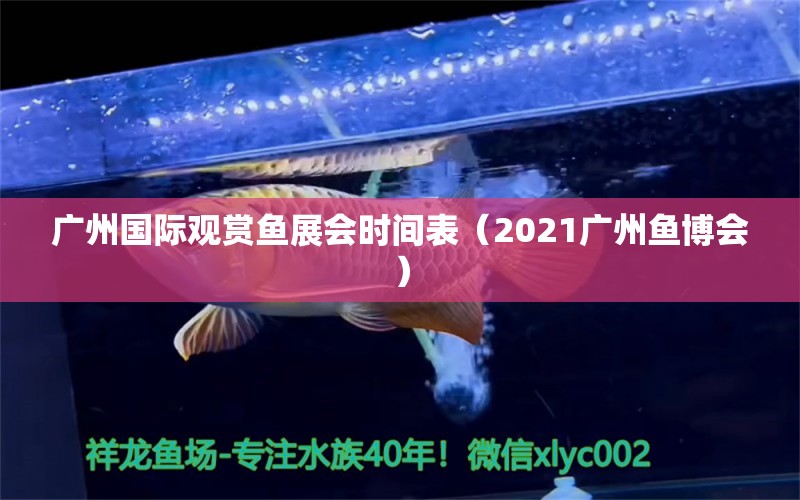 廣州國際觀賞魚展會時間表（2021廣州魚博會）