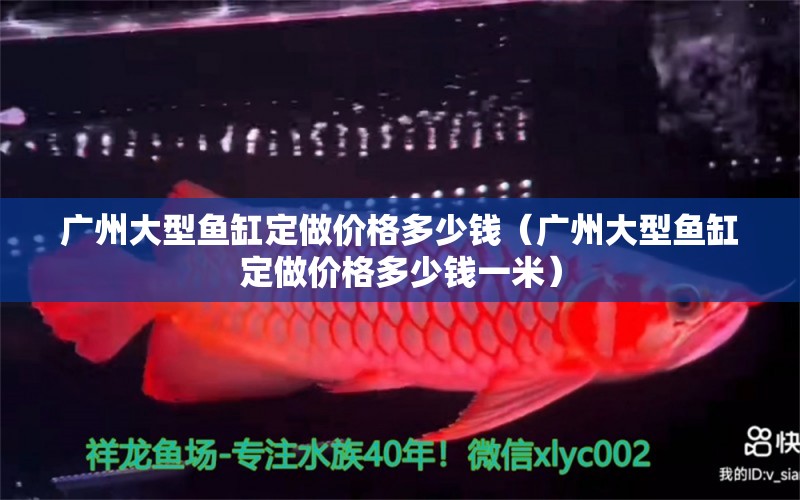 廣州大型魚缸定做價格多少錢（廣州大型魚缸定做價格多少錢一米）