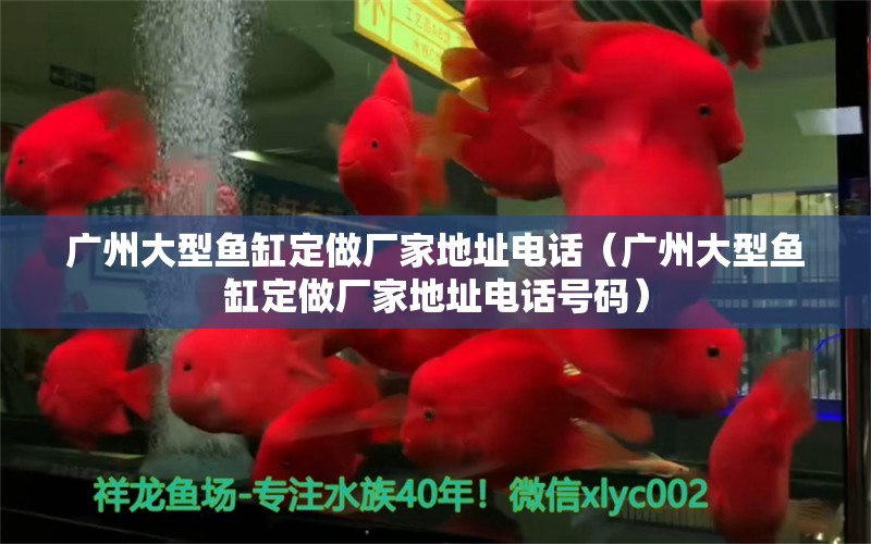 廣州大型魚缸定做廠家地址電話（廣州大型魚缸定做廠家地址電話號碼）