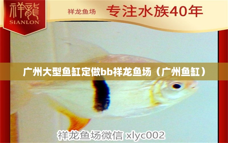 廣州大型魚缸定做bb祥龍魚場（廣州魚缸）