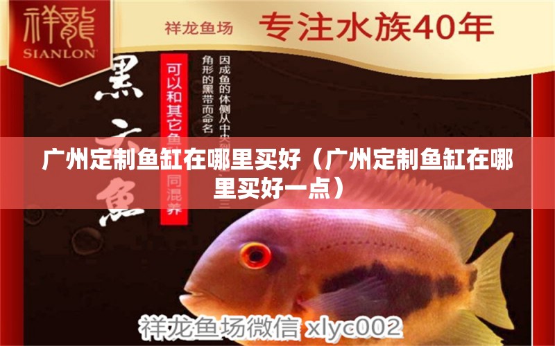 廣州定制魚缸在哪里買好（廣州定制魚缸在哪里買好一點(diǎn)） 祥龍水族醫(yī)院