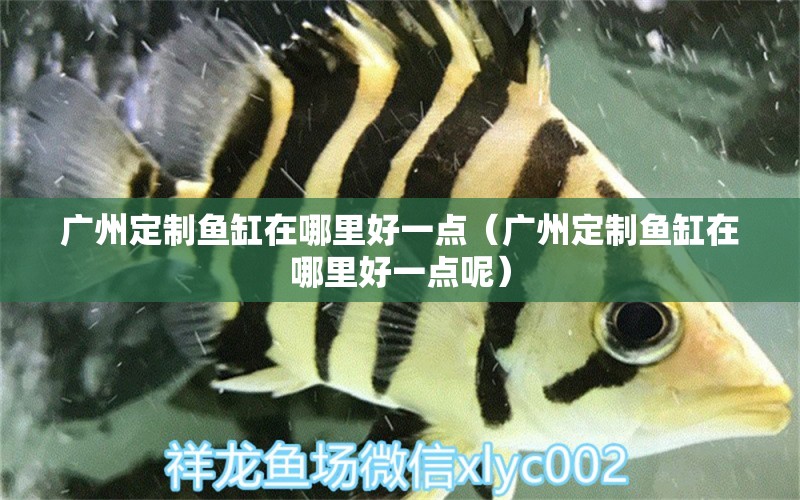 廣州定制魚缸在哪里好一點（廣州定制魚缸在哪里好一點呢）