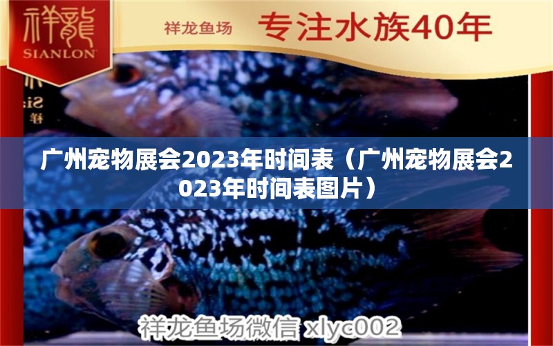 廣州寵物展會2023年時間表（廣州寵物展會2023年時間表圖片）