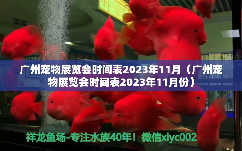 廣州寵物展覽會時間表2023年11月（廣州寵物展覽會時間表2023年11月份）