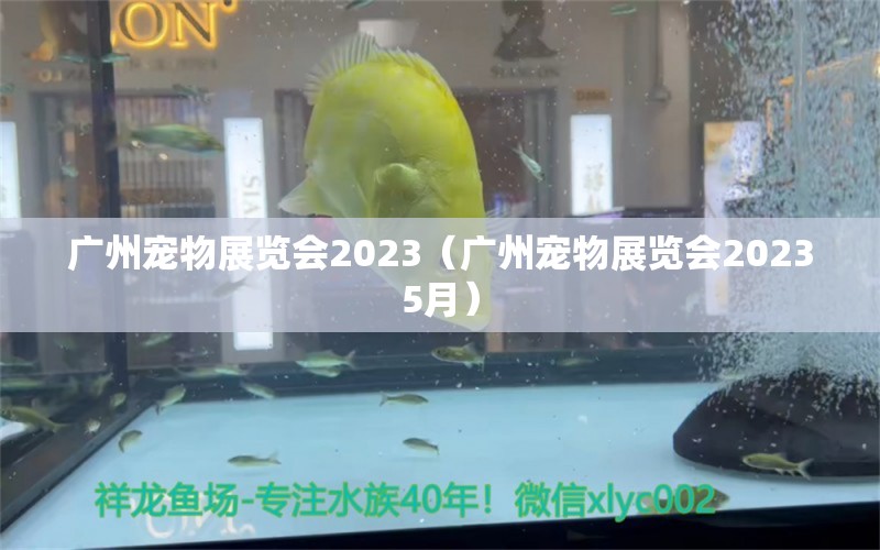 廣州寵物展覽會2023（廣州寵物展覽會20235月）