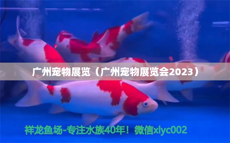 廣州寵物展覽（廣州寵物展覽會2023）