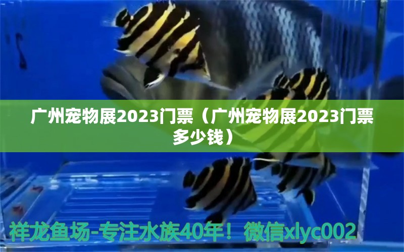 廣州寵物展2023門票（廣州寵物展2023門票多少錢） 廣州水族批發(fā)市場(chǎng)