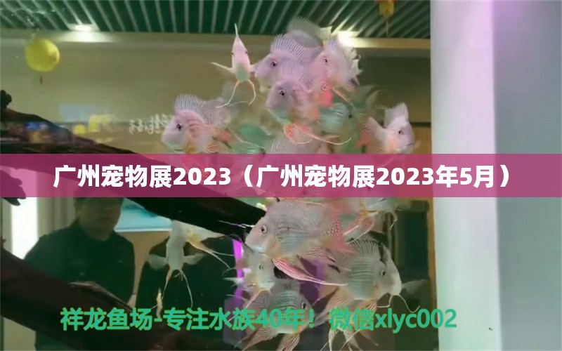 廣州寵物展2023（廣州寵物展2023年5月）