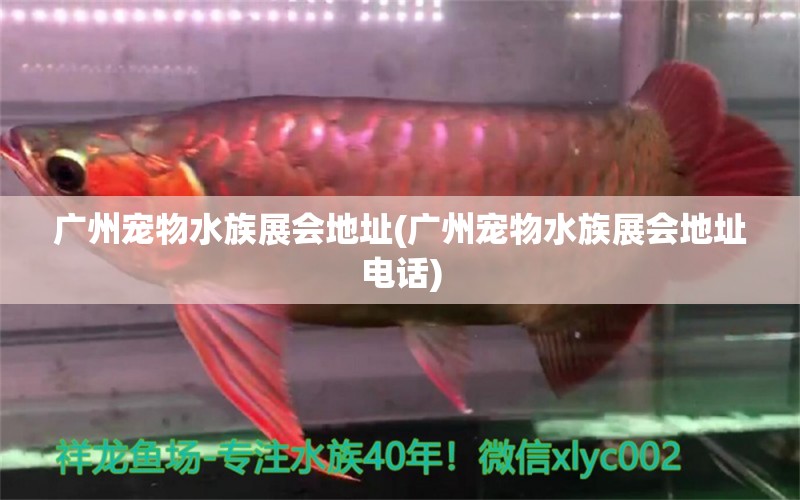 廣州寵物水族展會(huì)地址(廣州寵物水族展會(huì)地址電話(huà))