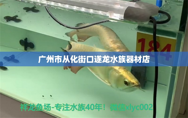 廣州市從化街口遂龍水族器材店