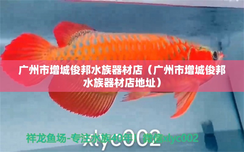 廣州市增城俊邦水族器材店（廣州市增城俊邦水族器材店地址）