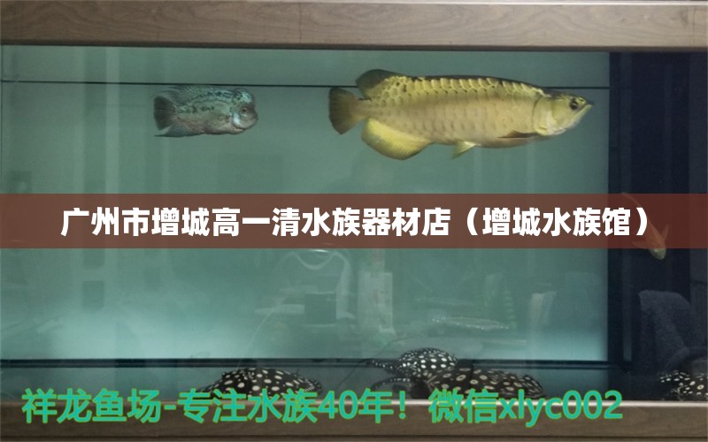 廣州市增城高一清水族器材店（增城水族館）