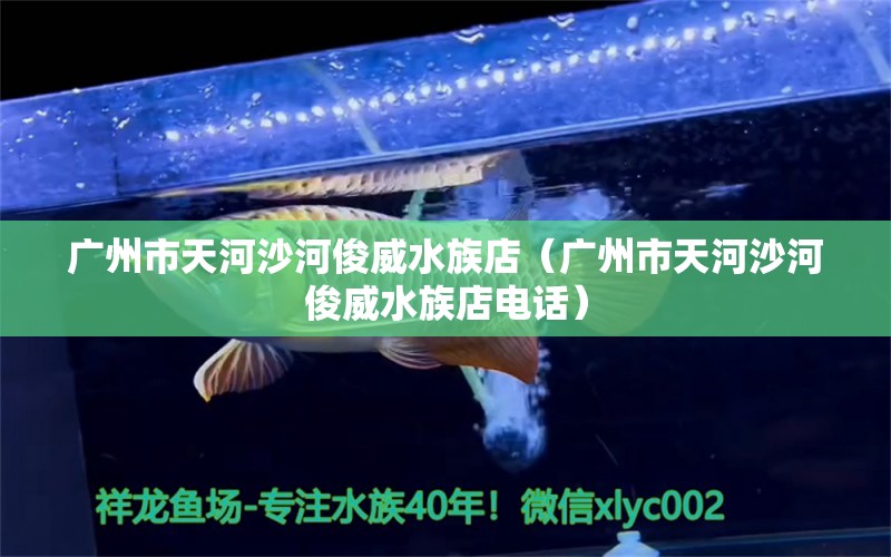 廣州市天河沙河俊威水族店（廣州市天河沙河俊威水族店電話）