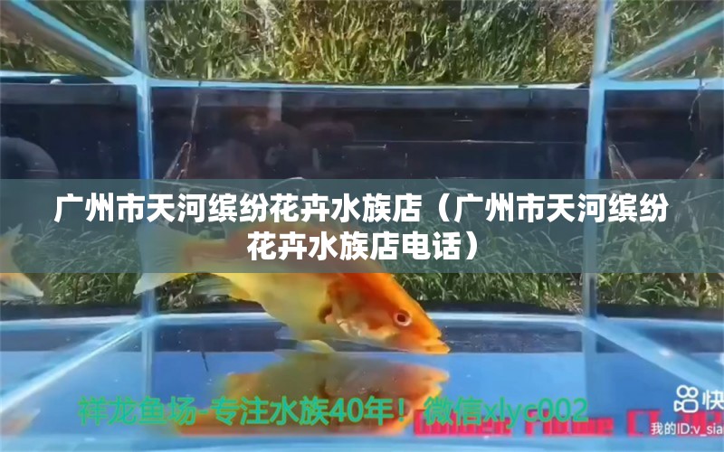 廣州市天河繽紛花卉水族店（廣州市天河繽紛花卉水族店電話）