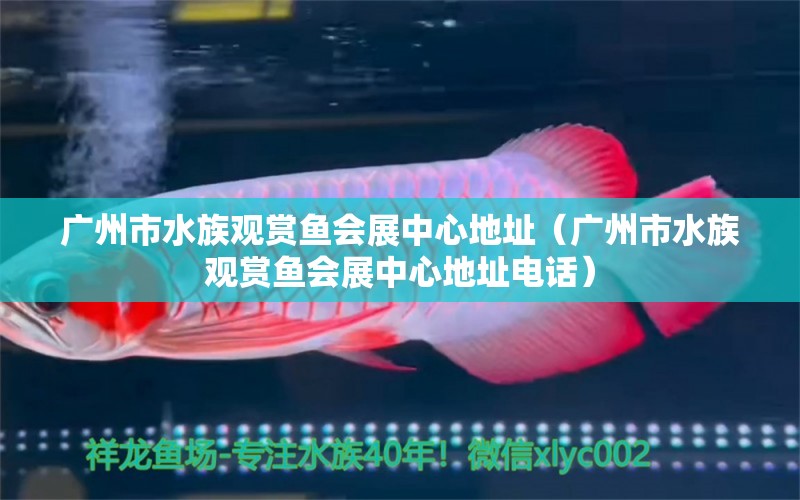 廣州市水族觀賞魚會(huì)展中心地址（廣州市水族觀賞魚會(huì)展中心地址電話）