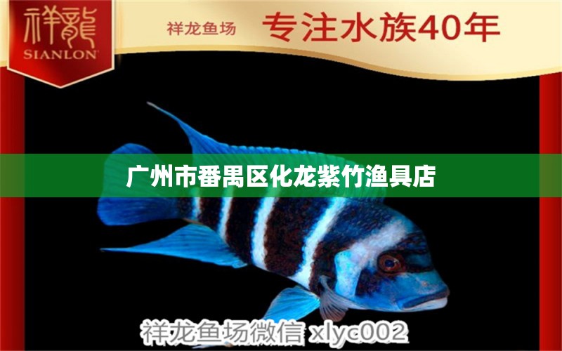 廣州市番禺區(qū)化龍紫竹漁具店 全國水族館企業(yè)名錄