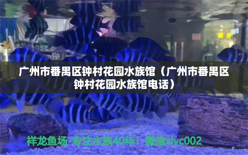 廣州市番禺區(qū)鐘村花園水族館（廣州市番禺區(qū)鐘村花園水族館電話） 全國水族館企業(yè)名錄