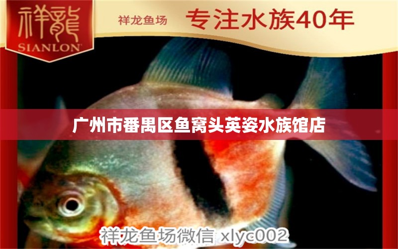 廣州市番禺區(qū)魚窩頭英姿水族館店 全國水族館企業(yè)名錄