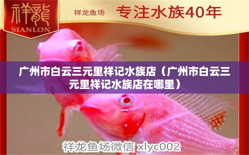 廣州市白云三元里祥記水族店（廣州市白云三元里祥記水族店在哪里）