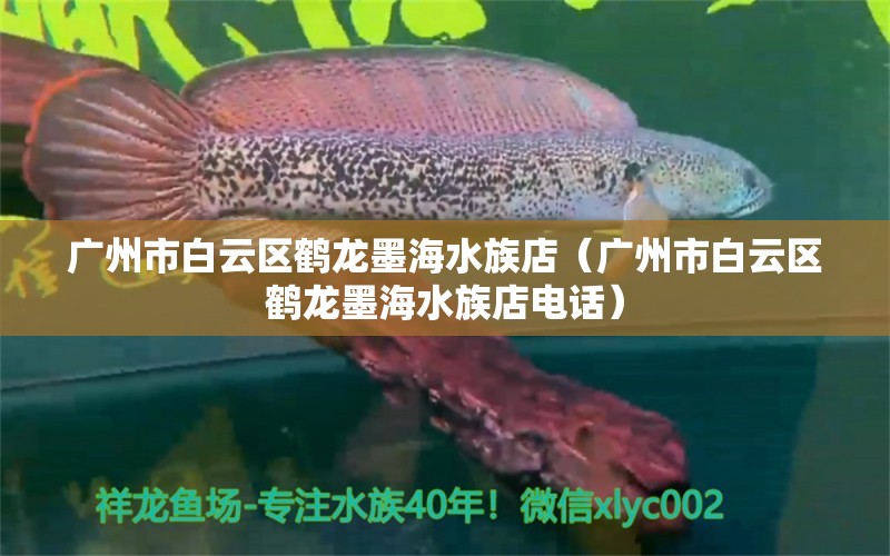 廣州市白云區(qū)鶴龍墨海水族店（廣州市白云區(qū)鶴龍墨海水族店電話）