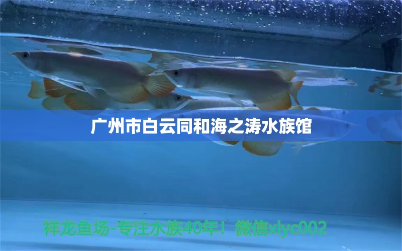 廣州市白云同和海之濤水族館