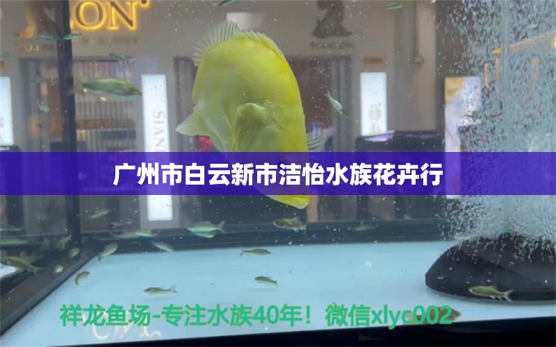 廣州市白云新市潔怡水族花卉行