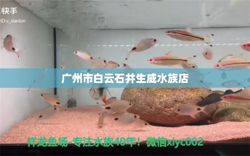 廣州市白云石井生威水族店