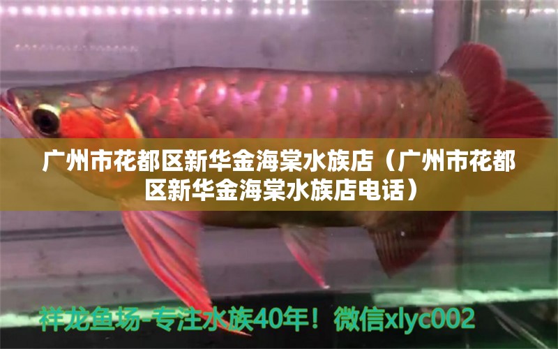 廣州市花都區(qū)新華金海棠水族店（廣州市花都區(qū)新華金海棠水族店電話）