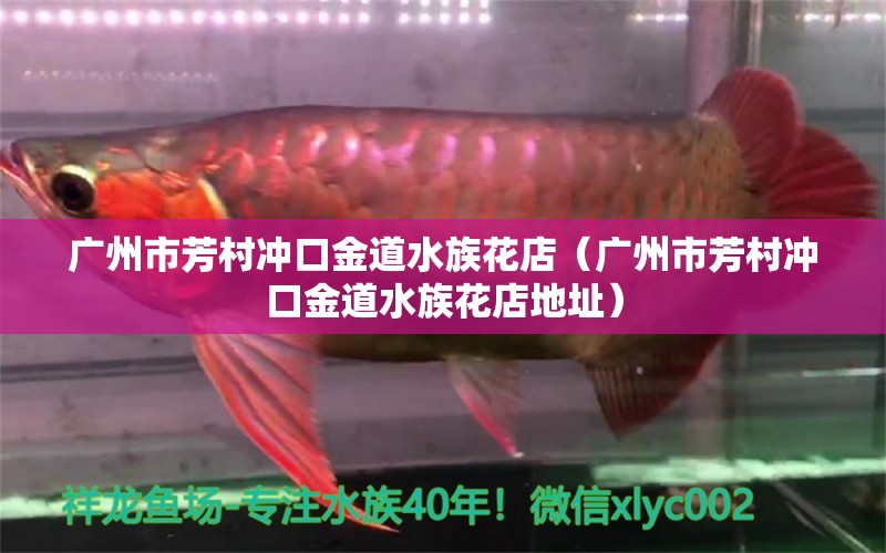 廣州市芳村沖口金道水族花店（廣州市芳村沖口金道水族花店地址）