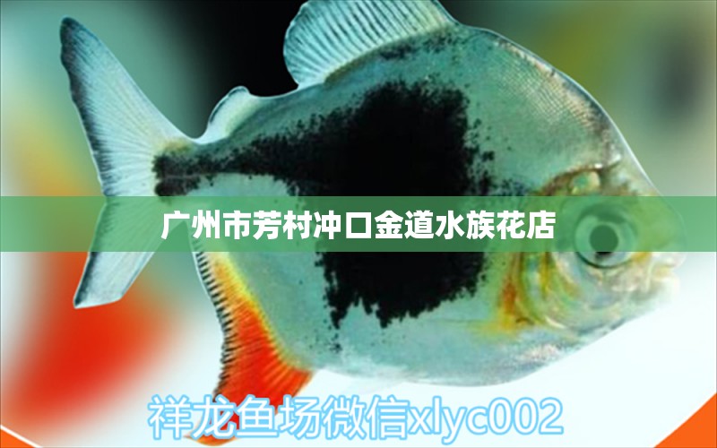 廣州市芳村沖口金道水族花店 全國(guó)水族館企業(yè)名錄