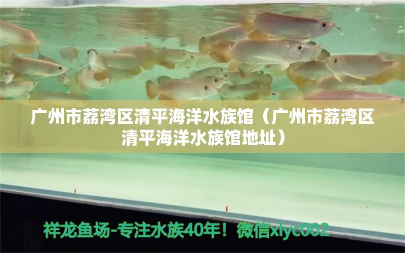 廣州市荔灣區(qū)清平海洋水族館（廣州市荔灣區(qū)清平海洋水族館地址） 全國(guó)水族館企業(yè)名錄