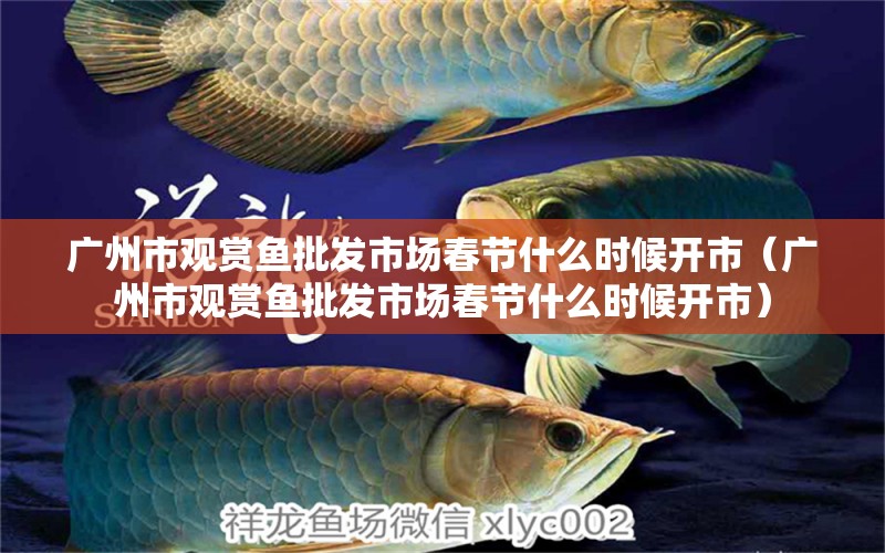 廣州市觀賞魚批發(fā)市場春節(jié)什么時候開市（廣州市觀賞魚批發(fā)市場春節(jié)什么時候開市）