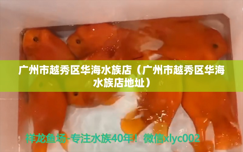 廣州市越秀區(qū)華海水族店（廣州市越秀區(qū)華海水族店地址） 全國水族館企業(yè)名錄