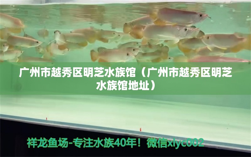 廣州市越秀區(qū)明芝水族館（廣州市越秀區(qū)明芝水族館地址）