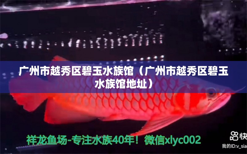 廣州市越秀區(qū)碧玉水族館（廣州市越秀區(qū)碧玉水族館地址）