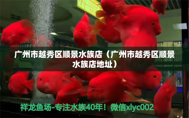 廣州市越秀區(qū)順景水族店（廣州市越秀區(qū)順景水族店地址） 全國水族館企業(yè)名錄