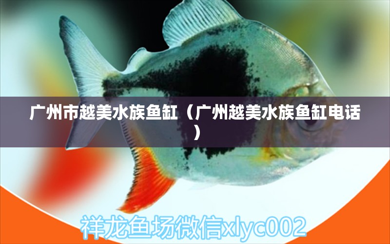 廣州市越美水族魚缸（廣州越美水族魚缸電話）