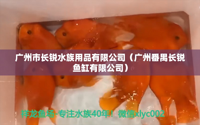 廣州市長銳水族用品有限公司（廣州番禺長銳魚缸有限公司） 水族用品