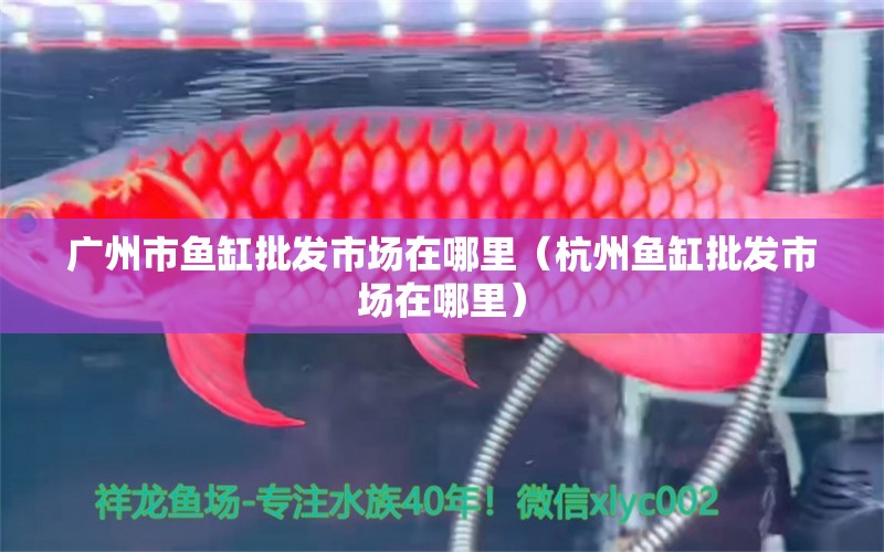 廣州市魚缸批發(fā)市場在哪里（杭州魚缸批發(fā)市場在哪里） 錦鯉池魚池建設(shè)