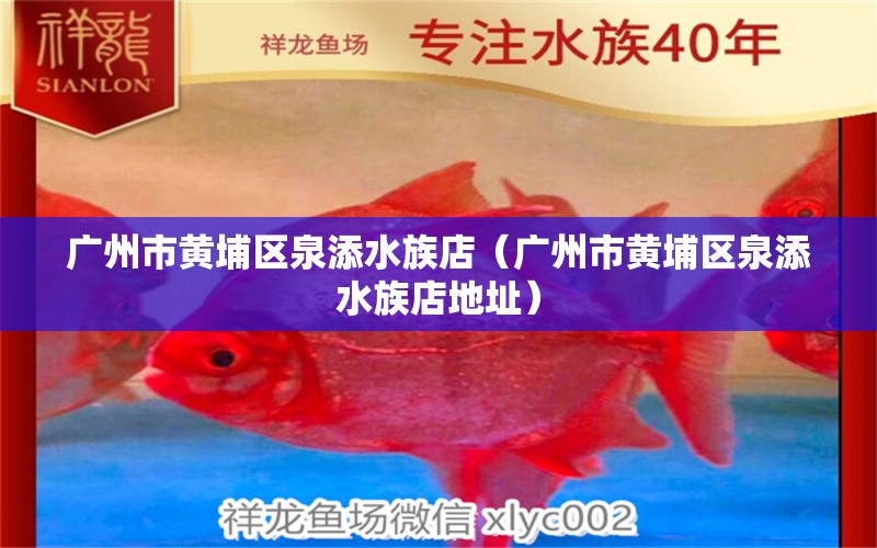 廣州市黃埔區(qū)泉添水族店（廣州市黃埔區(qū)泉添水族店地址） 全國水族館企業(yè)名錄